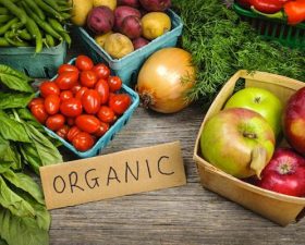 Go Organic this September