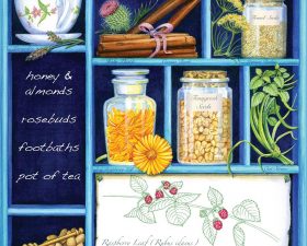 Herbalist consultation: women’s and family health