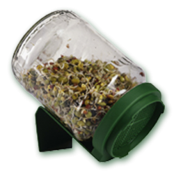 Biosnacky glass sprout germinator