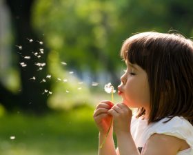 10 ways to prevent and treat hay fever naturally, so you can still enjoy the summer