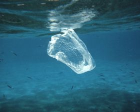 A Life Less Plastic: so when did plastics become so fantastic?