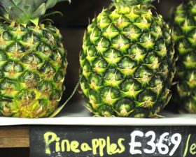 Seasonal and (not-so) local guide: exotic foods