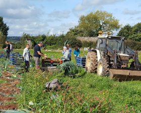 Innovator Story: The Community Farm’s Head Grower John English