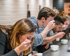 Wogan Coffee Taster Day – Organic September