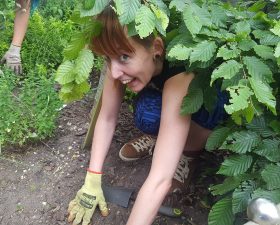 Incredible Edible Growing Party
