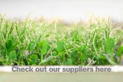 Check out our suppliers