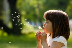 Pollen - girl blowing dandelion