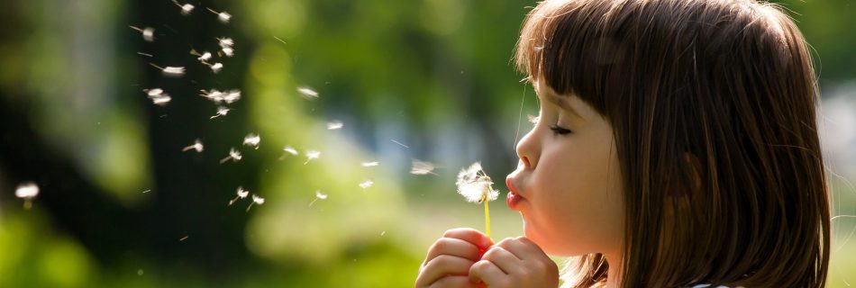 5 natural hay fever remedies, so you can still enjoy the summer