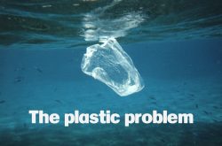 plastic bag sidebar