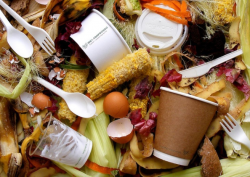 Vegware packaging