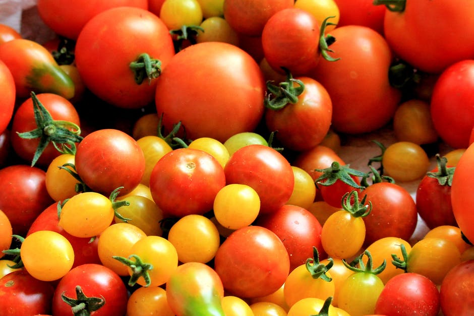Senen’s guide to tomatoes