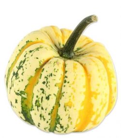 Celebration squash