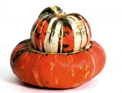 Turks Turban squash