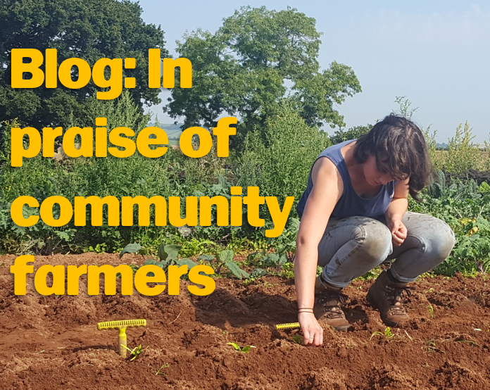 Praise of farmers blog link image - Better Food