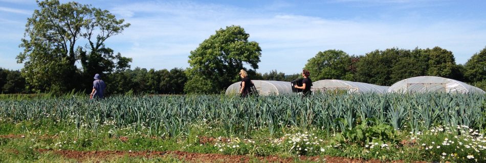 The Community Farm