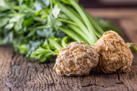 Celeriac Puree & Yoghurt