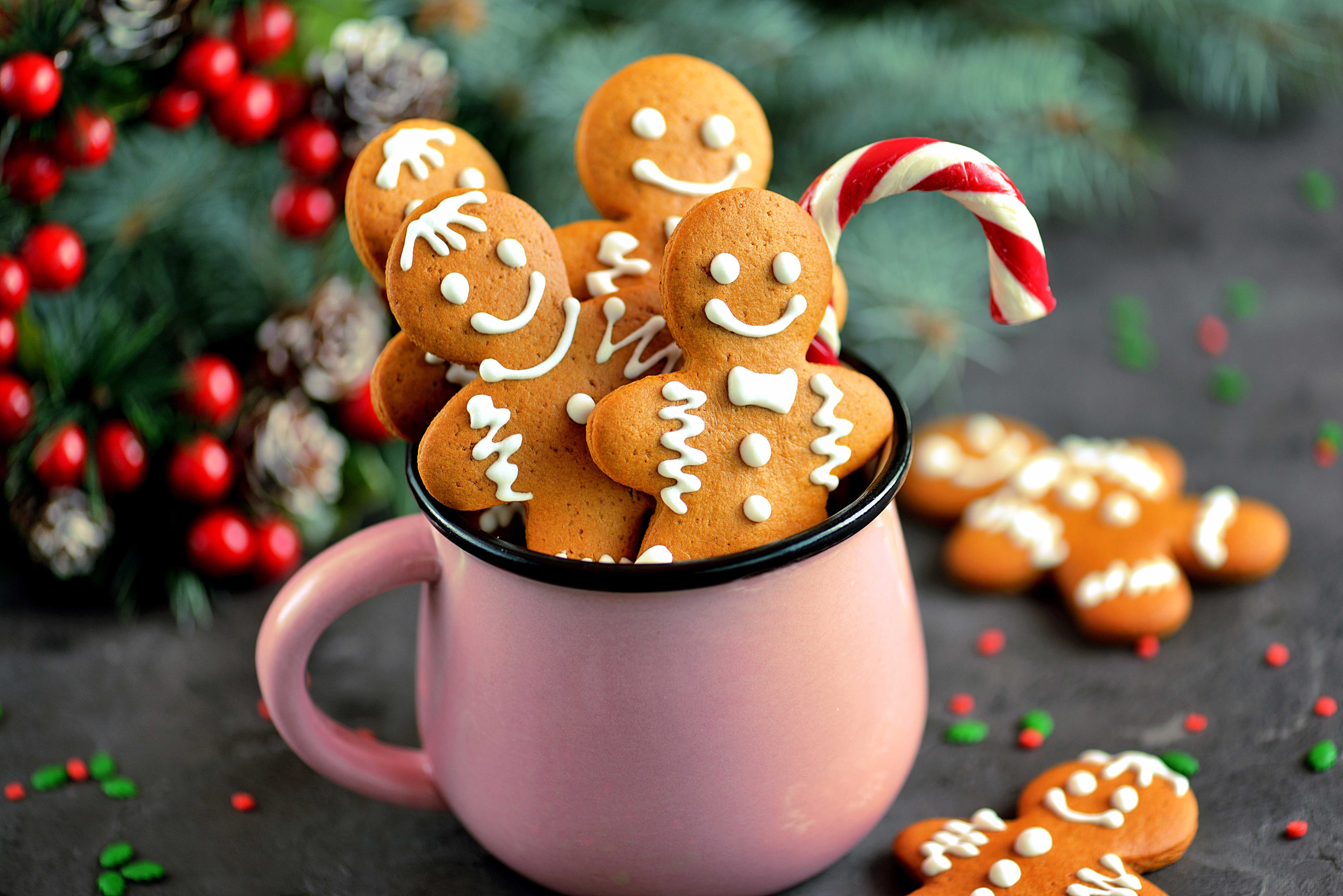 Ginger biscuits - recipe blog - Better Food Company