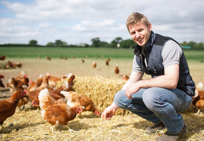 Chicken farming. Куриная ферма бренд. Куриная ферма Майк. Model of Organic Chicken Farm. Working on a Chicken Farm in the uk.