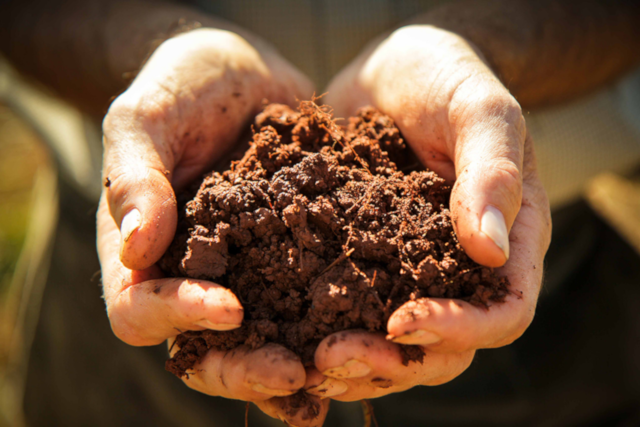 Human matters: how we should think of food from the soil up, not the plate down