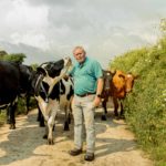 Bruton Dairy photo with cows