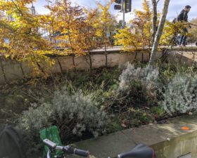 Wapping Wharf Garden Session