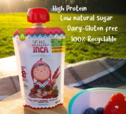 Little inca quinoa porridge