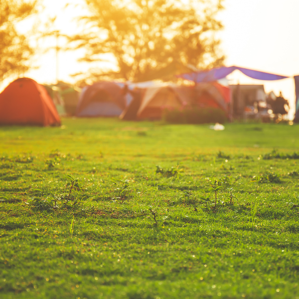 Sustainable camping and festival guide