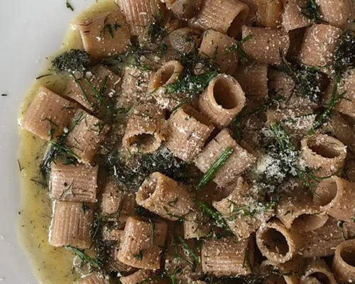 Emmer mezzi rigatoni with guanciale, wild fennel and parmigiano