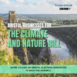 Image of the Clifton Suspension bridge with text saying 'Bristol Businesses for the climate and nature bill'