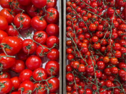 Local and seasonal UK tomatoes