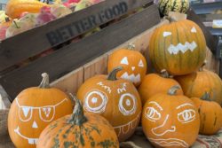 Better Food Pumpkins