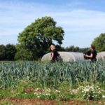 The community farm