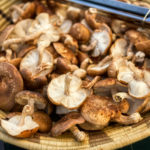 Shiitake mushrooms