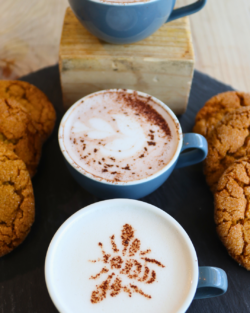 babycino bristol