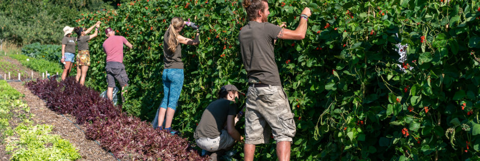 Meet the Growers: The Community Farm