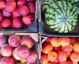 What’s in Season – June Europe