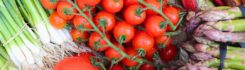 What’s in Season – June UK