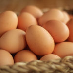 Salmonella Better Food