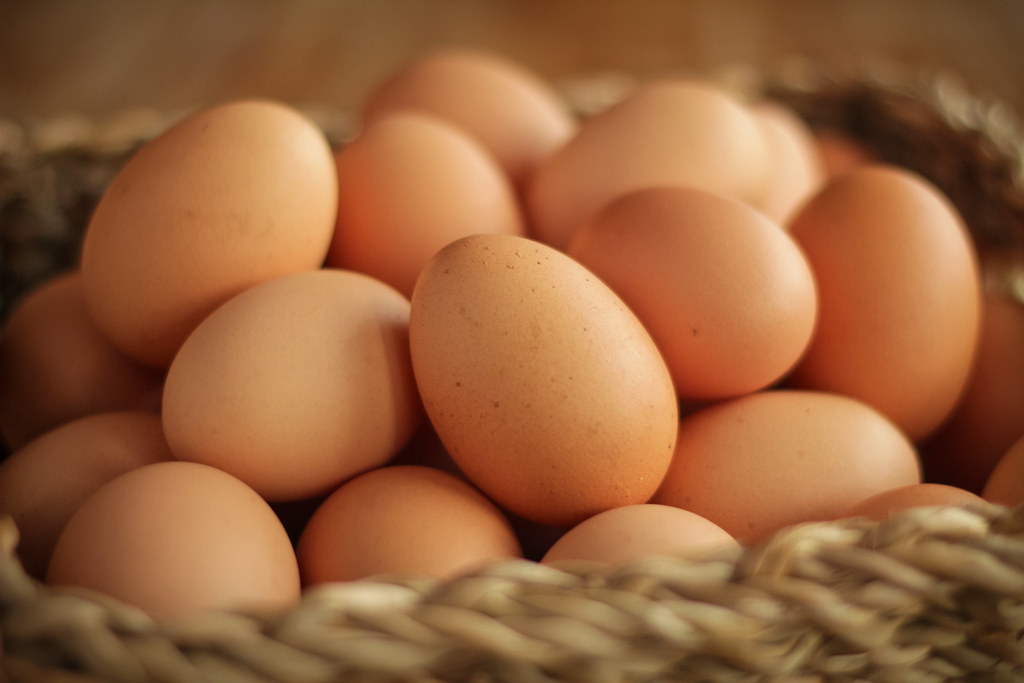 ‘UK Eggs Remain Safe to Eat’ says FSA