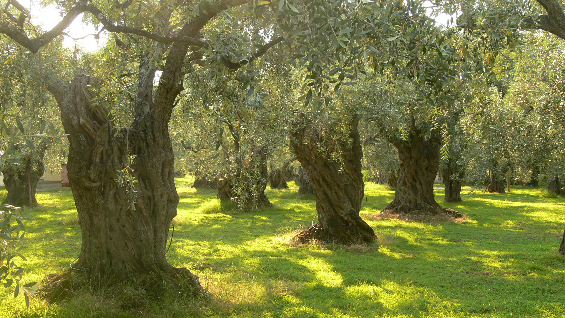 Why farming has to change: lessons from Abruzzo