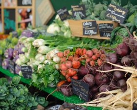 Why organic food plays a fundamental role in naturopathy
