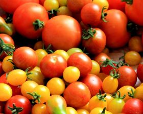 Senen’s guide to tomatoes