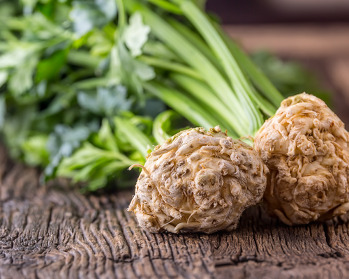 Celeriac Puree & Yoghurt