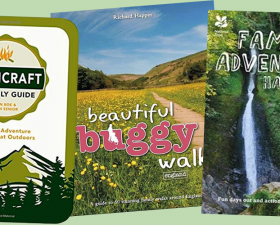 Book reviews: camping and outdoor fun