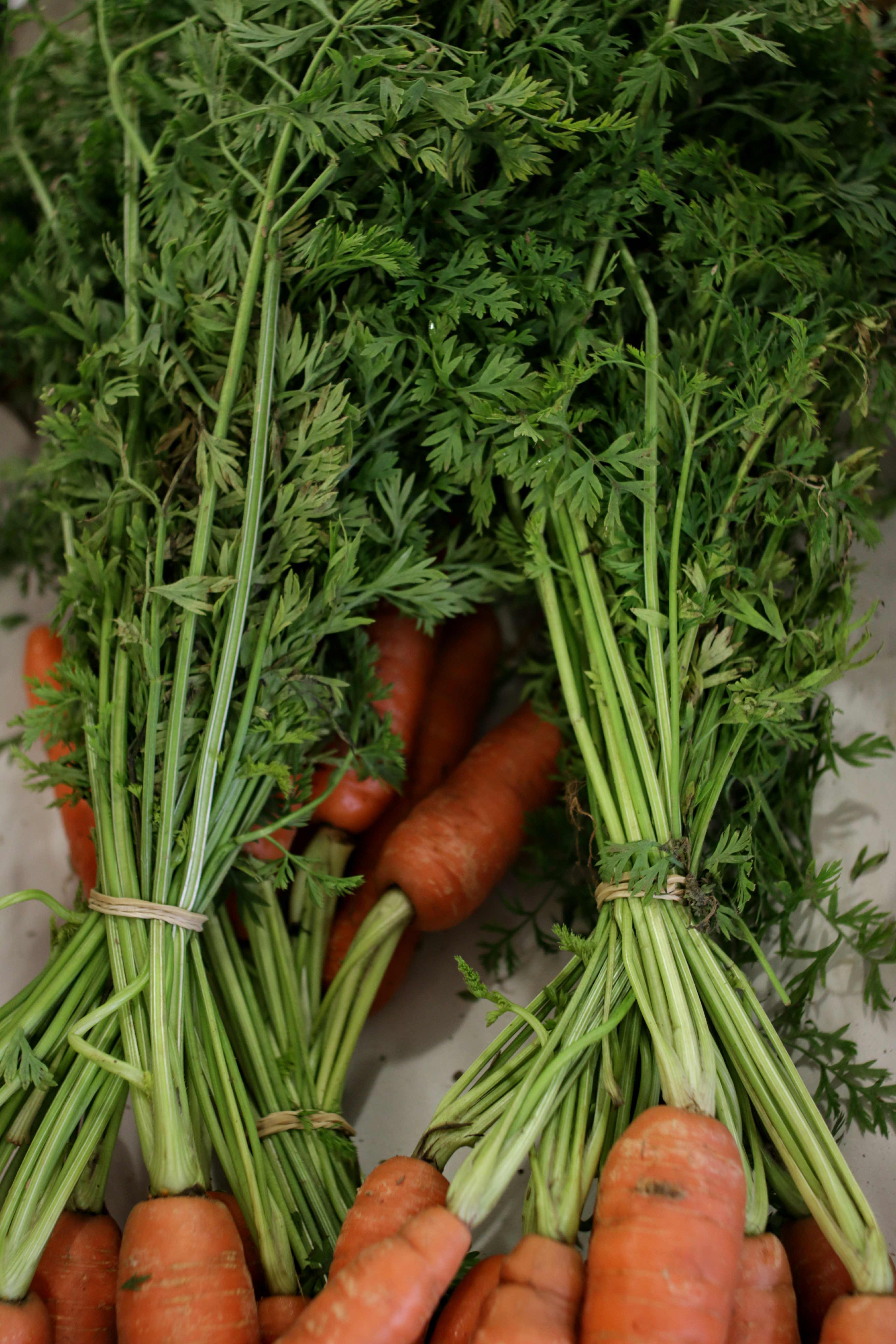 5 tips for using more and binning less – working towards zero-waste …