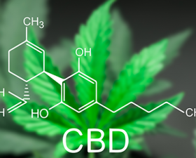 5 Reasons we love CBD oil