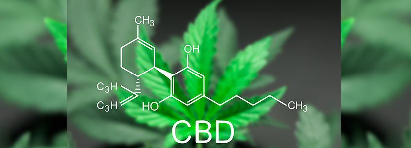 5 Reasons we love CBD oil
