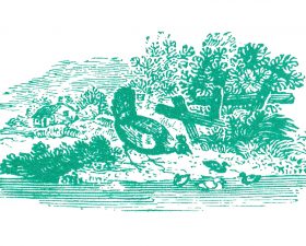 Cracknell’s Farm